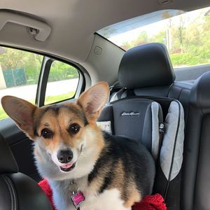 Meet your Posher, Jacquelyn